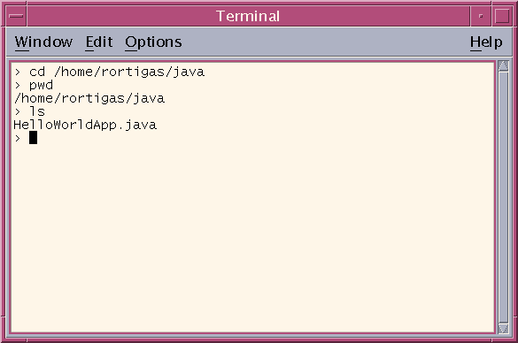 Results of the ls command, showing the .java source file