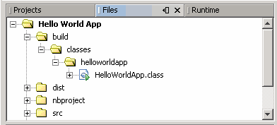 Files window, showing the generated .class file.